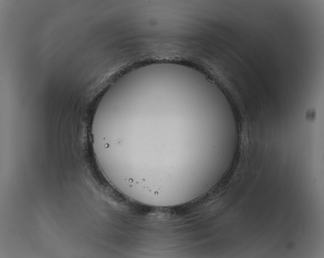 X0000111520211200907281347