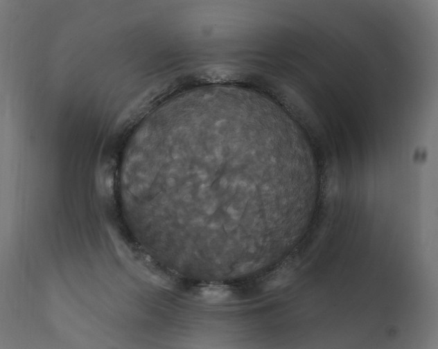 X0000111520214200907281346