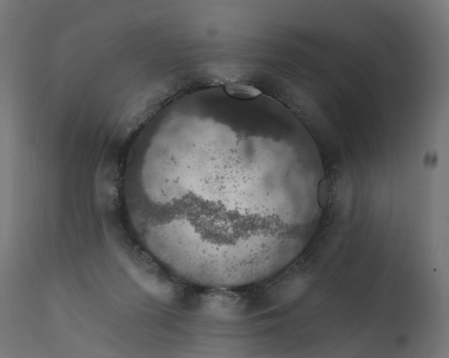 X0000111520215200907281346