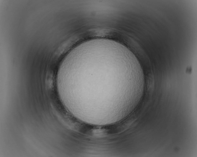 X0000111520216200907281346