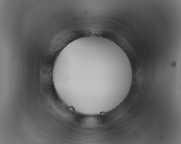 X0000111520218200907281346