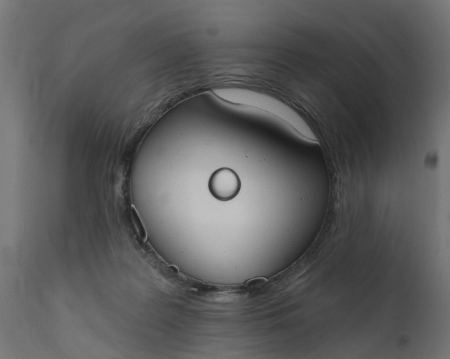 X0000111520219200907281346