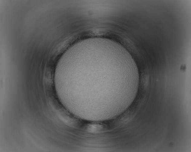 X0000111520220200907281346