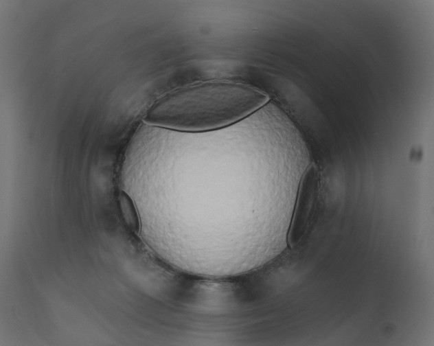 X0000111520221200907281346
