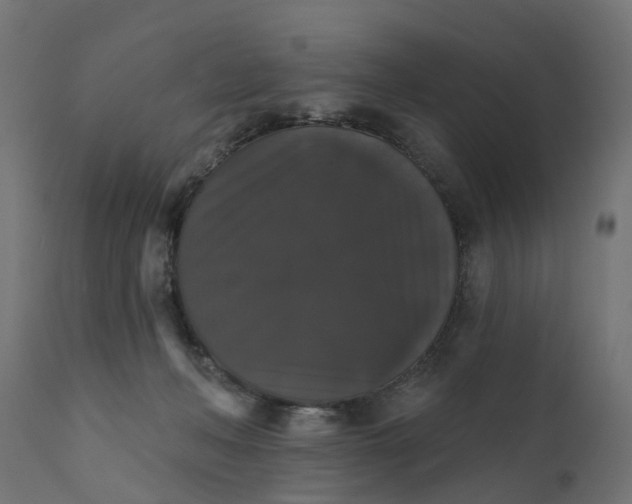 X0000111520222200907281346