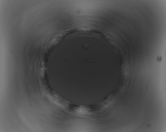 X0000111520223200907281346