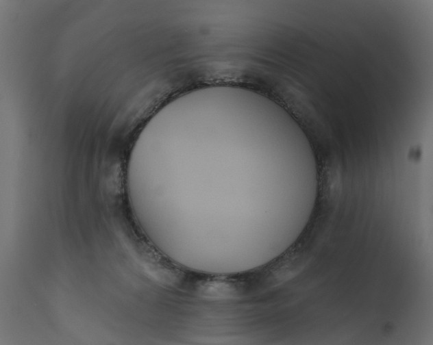 X0000111520224200907281346