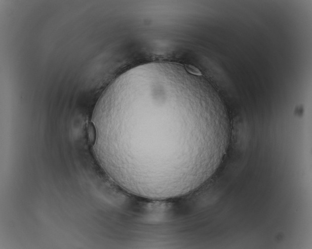 X0000111520225200907281346