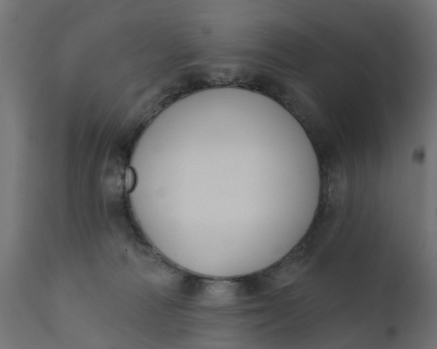 X0000111520226200907281346