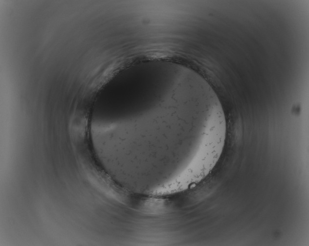 X0000111520227200907281346