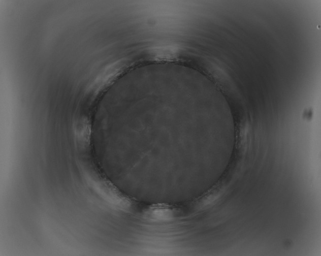 X0000111520228200907281346