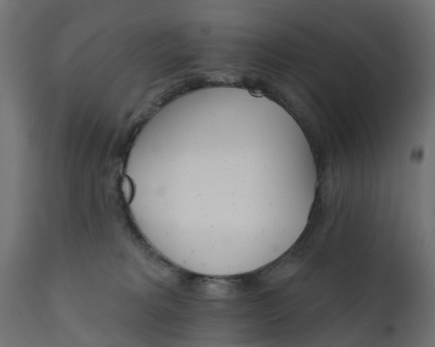 X0000111520229200907281346