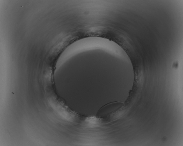 X0000111520231200907281346