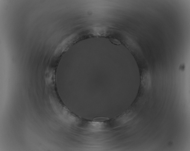 X0000111520233200907281346