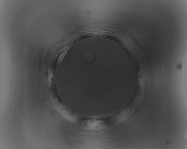 X0000111520235200907281346
