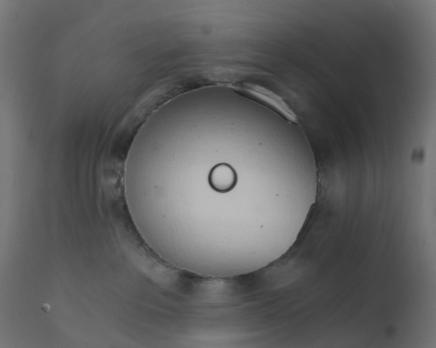 X0000111520237200907281346