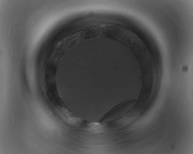 X0000111520239200907281346