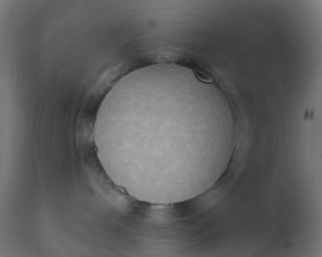 X0000111520240200907281346