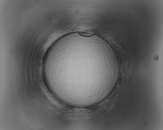 X0000111520242200907281345