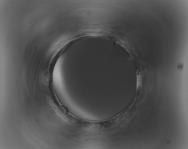 X0000111520243200907281345