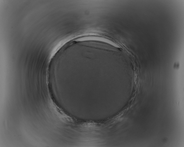 X0000111520244200907281345