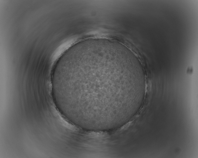 X0000111520245200907281345