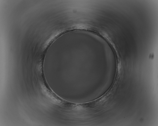 X0000111520249200907281345