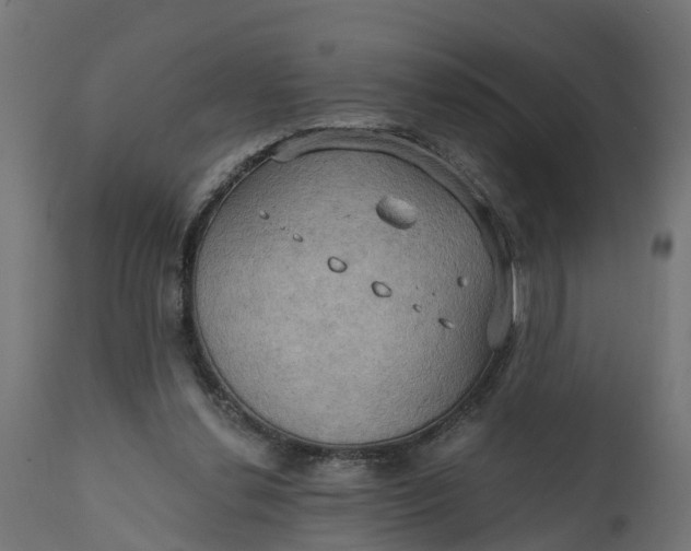 X0000111520252200907281345