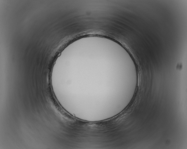 X0000111520253200907281345