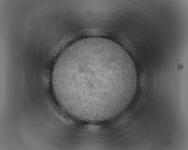 X0000111520255200907281345