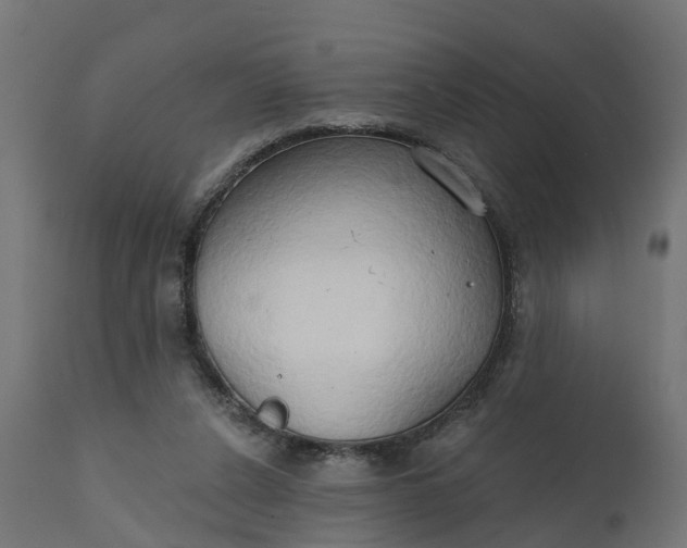 X0000111520256200907281345