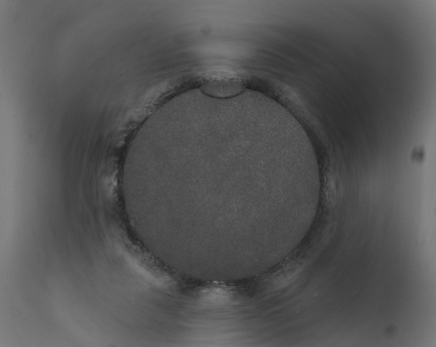 X0000111520259200907281346