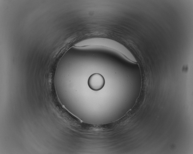 X0000111520260200907281346
