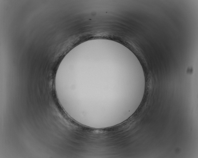 X0000111520261200907281346