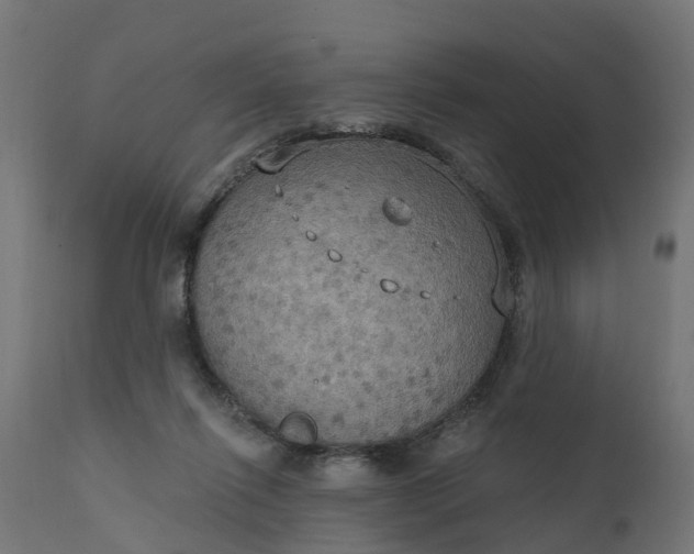 X0000111520262200907281346
