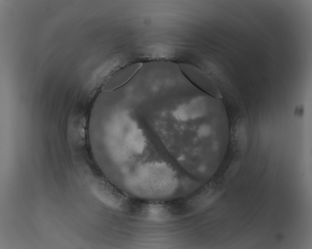 X0000111520264200907281346