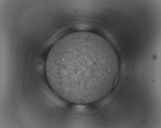 X0000111520265200907281346