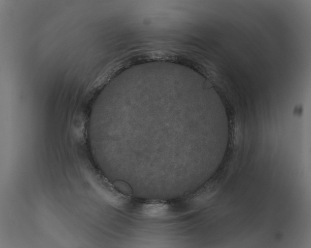 X0000111520266200907281346