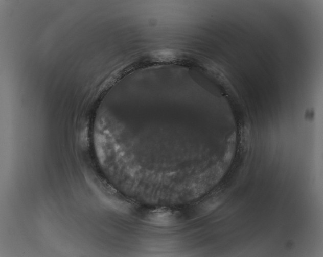 X0000111520267200907281346
