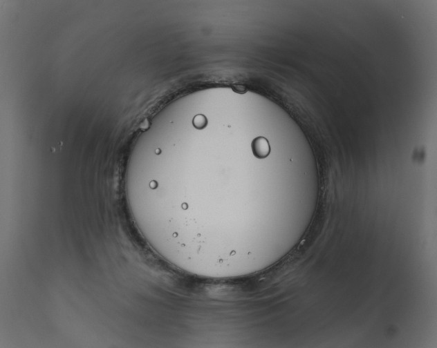X0000111520268200907281346