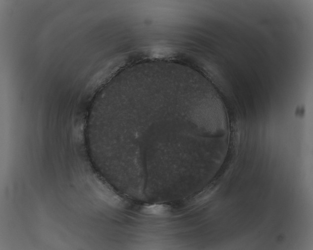 X0000111520269200907281346