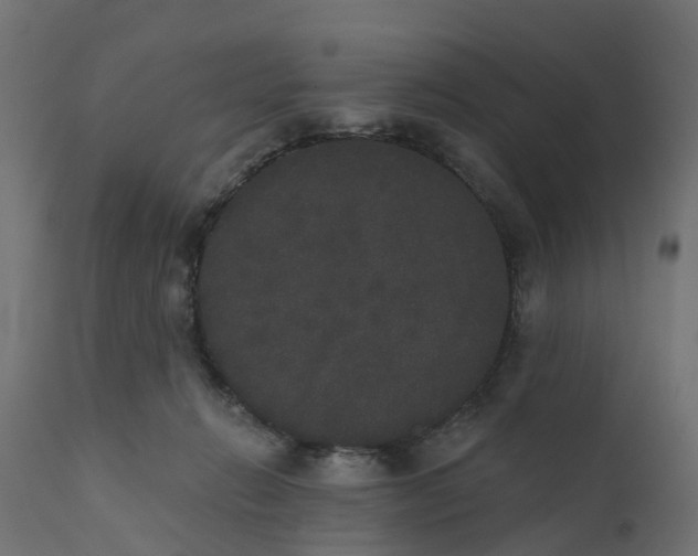 X0000111520270200907281346