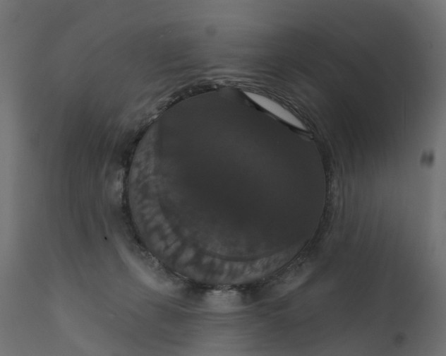 X0000111520271200907281346