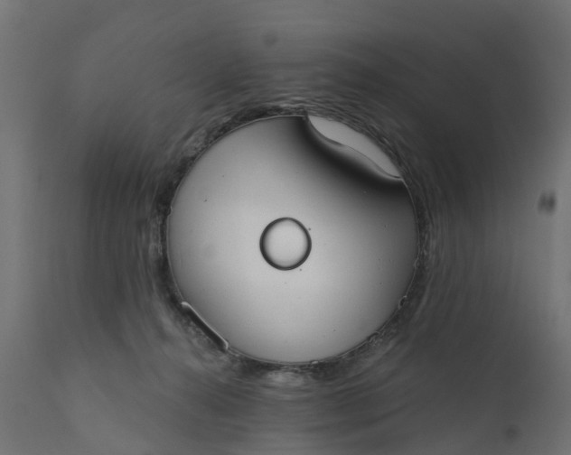 X0000111520272200907281346