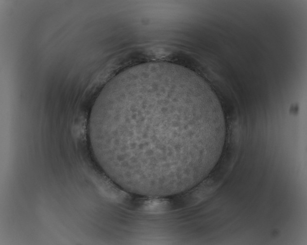 X0000111520274200907281346