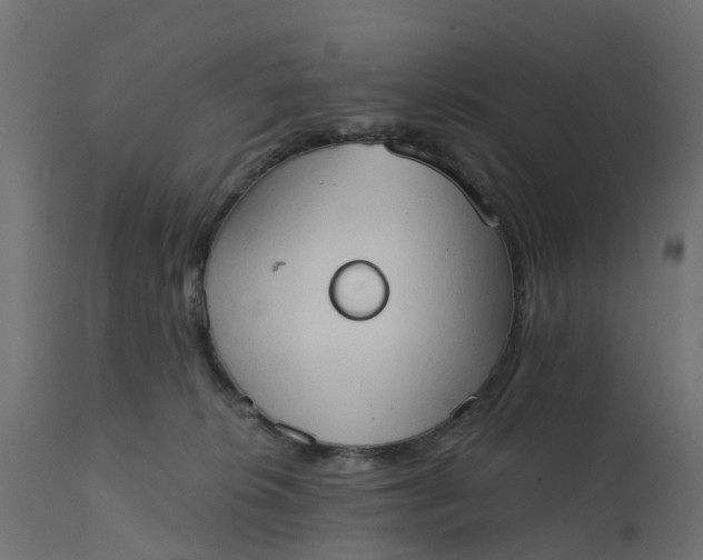 X0000111520276200907281346