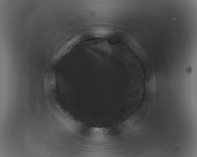 X0000111520277200907281346