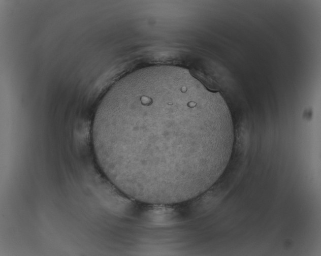 X0000111520278200907281346
