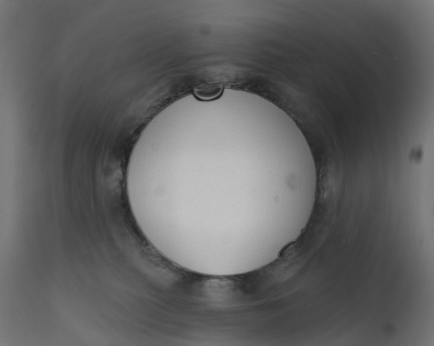 X0000111520279200907281346