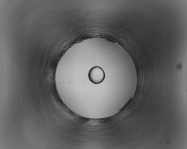 X0000111520280200907281346